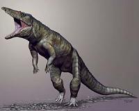 Crocodile fossils suggest giant reptiles emerged earlier than previously thought