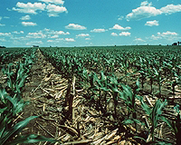 Ethanol Production Could Jeopardize Soil Productivity