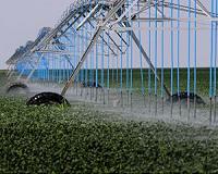 Agriculture must make water use go further: experts