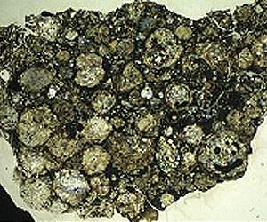 Where on Earth did the moon's water come from