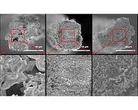 Mussel-inspired defect engineering enhances the mechanical strength of graphene fibers