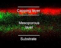 Revealing the hidden path of perovskite formation