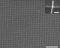 Water makes wires even more nano