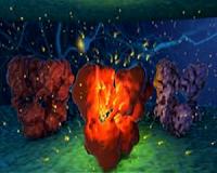 Near-atomic resolution of protein structure by electron microscopy