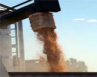 CSIRO Helps Mars With Sustainable Food Production
