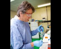 CSIRO Opens Rapid Response Animal Disease Centre