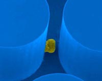 Microchip to aid lung cancer treatments