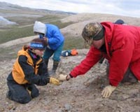 53 Million-Year-Old High Arctic Mammals Wintered In Darkness