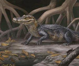 Alligator relatives slipped across ancient seaways