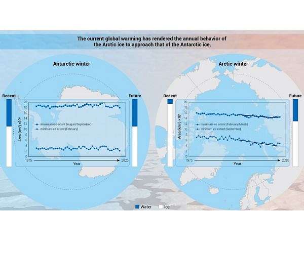 Similar but different: Antarctic and Arctic sea ice and their responses to climate change