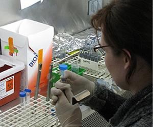 Researchers To Send Bacteria Into Orbit Aboard Atlantis
