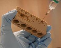 Keeping cells in good shape