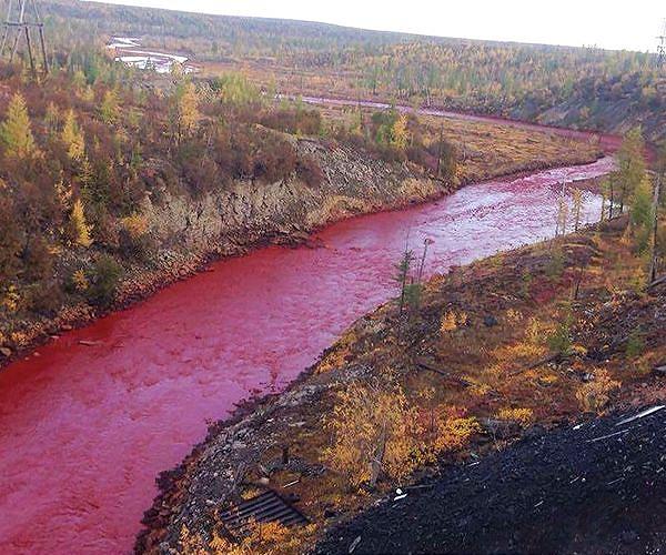 A stream turns blood red in Argentina, residents blame pollution