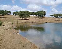 Drought in southeast US fuels battle over water resources