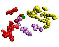 The water world of ancient photosynthetic organisms