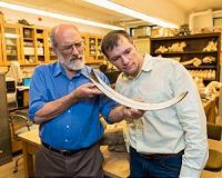 Shift in weaning age supports hunting-induced extinction of Siberian woolly mammoths