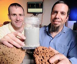 Principles of locomotion in confined spaces could help robot teams work underground