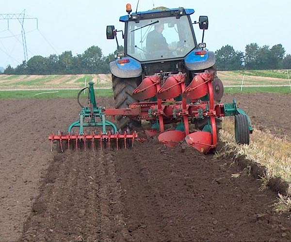 No tilling, no chemicals in S.African farmer's revolution