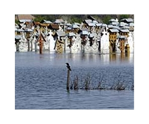 Danube countries agree to protect 'Amazon of Europe'