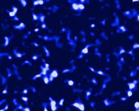Dark matter may be massive