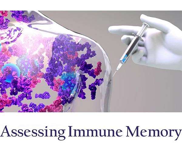 Taking guess work out of vaccine development