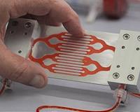 Artificial Spleen Could Increase Survival Odds for Future Sepsis Patients