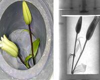 Neutron Vision: Going Beyond X-Rays for Advanced Imaging in the Field