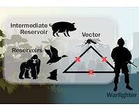 A new layer of medical preparedness to combat emerging infectious disease