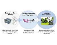 Setting a Safe Course for Gene Editing Research