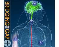 New generation of intelligent bio-interfaces could overcome aspects of spinal cord injury