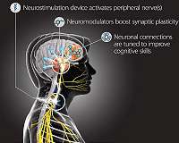 TNT Researchers Set Out to Advance Pace and Effectiveness of Cognitive Skills Training