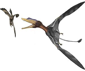 Fossil of mom with egg reveals Pterosaur's female form