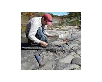 Syracuse University researchers confirm marine animals live longer at high latitudes