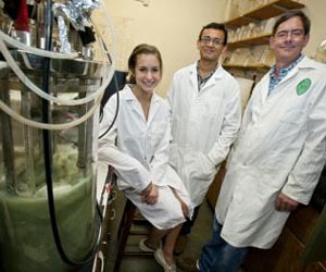 Cars could run on recycled newspaper, Tulane scientists say