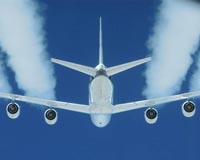 Plant scraps are the key ingredient in cheap, sustainable jet fuel