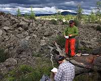 Dead tress across Mongolian lava field offer clues to past droughts