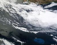 'Dead zones' found in Atlantic open waters