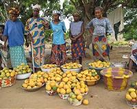 Forests could be the trump card in efforts to end global hunger