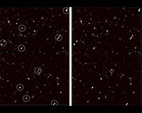 Mysterious alignment of black holes discovered