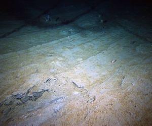 eWarming of deep oceans said holding climate change steady