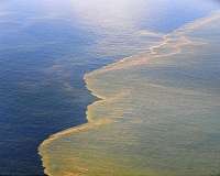 Chemicals used in Deepwater Horizon spill were ineffective, study says