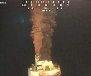 Oil from Deepwater Horizon disaster entered food chain in the Gulf of Mexico