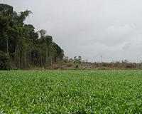 Restoring natural habitats across farms will boost CO2 sinks
