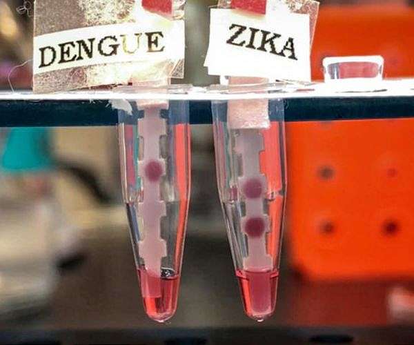 Climate shifts and urbanisation drive Nepal dengue surge