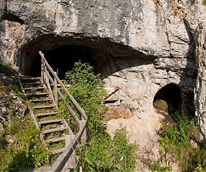 Mysterious ancient human crossed Wallace's Line