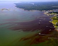 In Chesapeake Bay, clean air and water are a package deal