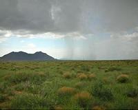 ASU study finds weather extremes harmful to grasslands