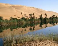 Morocco's oases fight back creeping desert sands