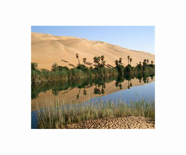 Oases expand but face threats from desertification and climate change