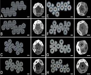 Researchers find best routes to self-assembling 3D shapes